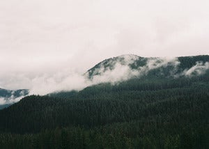 Image of Misty Mountain Top - 5x7