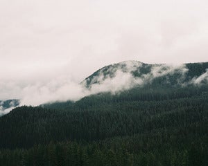 Image of Misty Mountain Top - 8x10