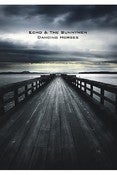 Image of Echo & The Bunnymen Live "Dancing Horses" DVD (PAL VERSION ONLY)