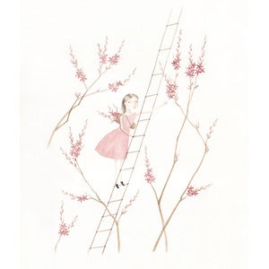 Image of Magnolia Harvest-original drawing