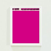Image of PANTONE® Letraset Posters × Fuchsias