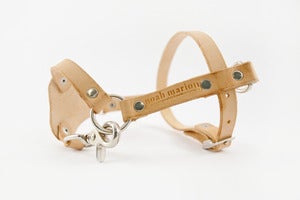 Image of Custom Harness