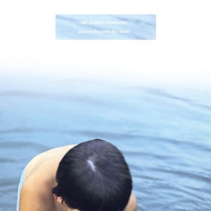 Pianos Become The Teeth / The Saddest Landscape - Split 7 Inch
