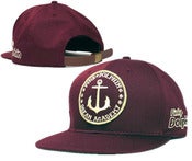 Image of NEW! Pink Dolphins "Ocean Academy" Snapback Hat Collection
