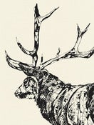 Image of Standing Stag MMXII