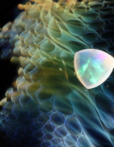 Image of Luminous-Limited Edition Print, Signed and Numbered!