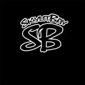 Image of Skylit Bay "SB" Logo