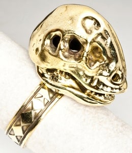 Image of Oviraptorosaur Skull - Brass Ring