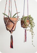 Image of Macrame Plant Hangers