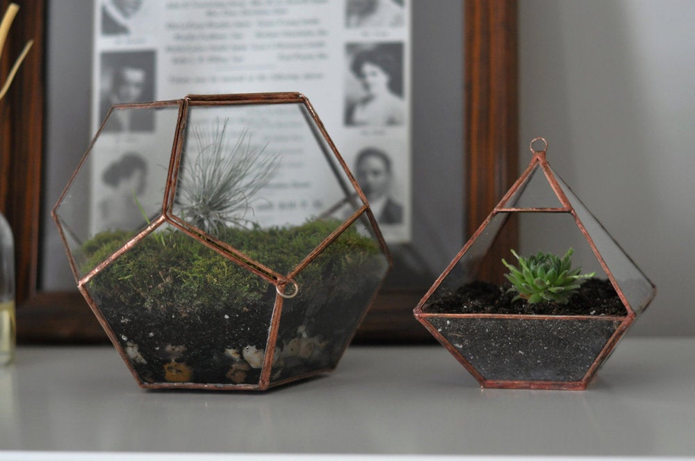 Image of Universe Terrarium Kit, hinged