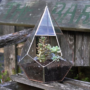 Image of Teardrop Terrarium Kit, large