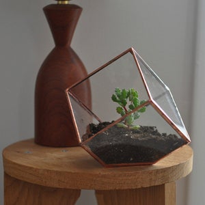 Image of Earth Terrarium Kit, small