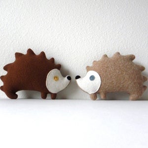 Image of the Hedgehog