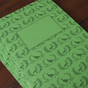 Image of Ducks Journal