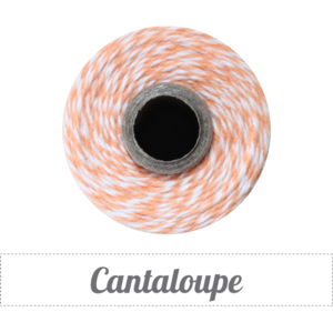 Image of Cantaloupe - Light Orange & White Baker's Twine
