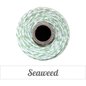 Image of Seaweed - Mint Green & White Baker's Twine 
