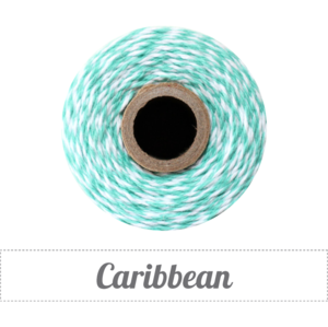Image of Caribbean - Teal & White Baker's Twine