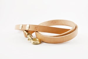 Image of Canine Lead