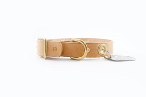 Image of Canine Collar