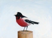 Image of Robin Red Breast Archival Print