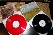 Image of Point Reyes - Golden LP