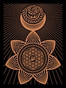 Image of Ganas Sun Moon Black  