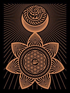 Image of Ganas Sun Moon Black  