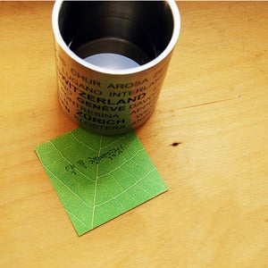 Image of Cheese+ Wood or Leaf-it