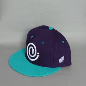 Image of C Symbol Snapback Purple/Aqua