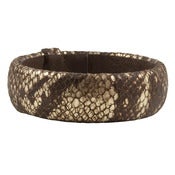 Image of Jodie Bangle-Brown