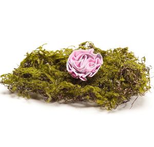 Image of Pink+Moss