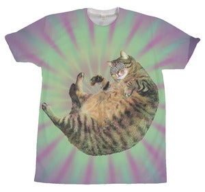 Image of cat