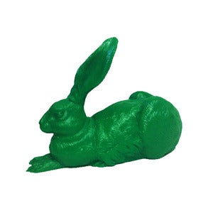 Image of Duerer Hare