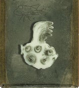 Image of ::El Escupeojos::