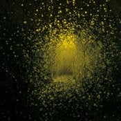Image of FKR048 - The Antlers - Burst Apart CD