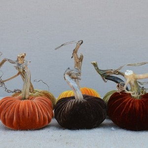 Image of Velvet Plush Pumpkin Hostess Set