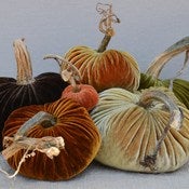 Image of Velvet Plush Pumpkin Inspired Large Set