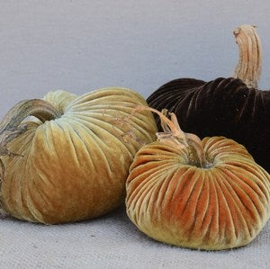 Image of Velvet Plush Pumpkin Inspired Trio