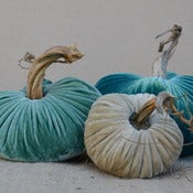 Image of Velvet Plush Pumpkin Turquoise Trio Set