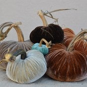 Image of Velvet Plush Pumpkin Sensational Large Set
