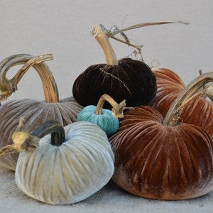 Image of Velvet Plush Pumpkin Sensational Large Set