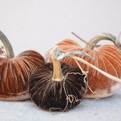Image of Velvet Plush Pumpkin Sensational Trio