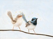 Image of Superb Fairy Wrens Archival Print