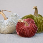 Image of Velvet Plush Pumpkin LoveFeast Trio