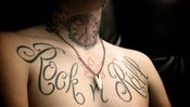 Image of Real Alligator tooth Necklace