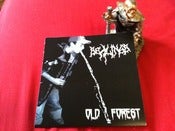 Image of SEALINGS // OLD FOREST SPLIT 7"