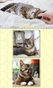 Image of Bubuttons