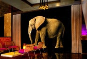 Image of ELEPHANT WALL ART