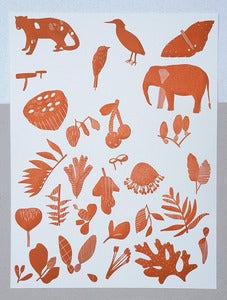 Image of discovery print 1