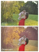 Image of PSE Dreamscapes Photoshop Matte Collection
